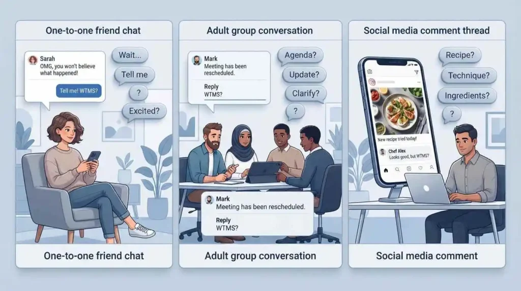 WTMS appearing in friend, group chat, and social media conversation contexts